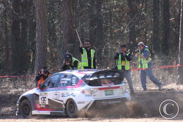 Posing for the paparazzi at the Rally in the 100 Acre Woods 2014