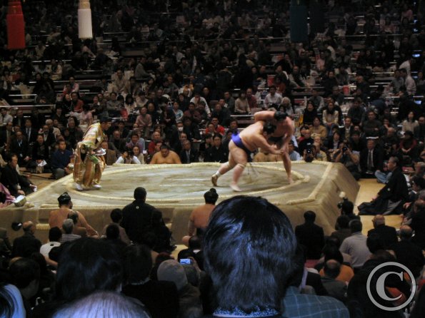 Sumo! I Sumo! I
