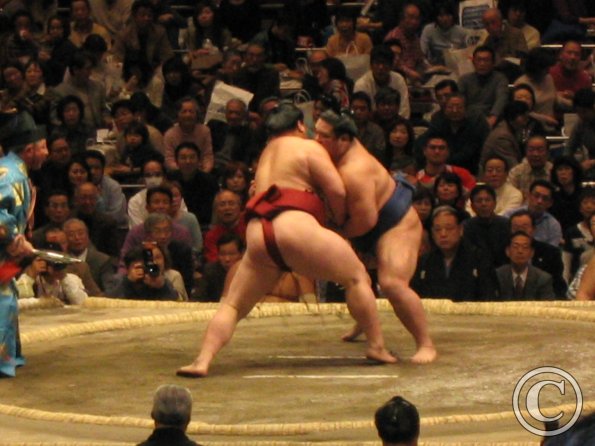 Sumo! III