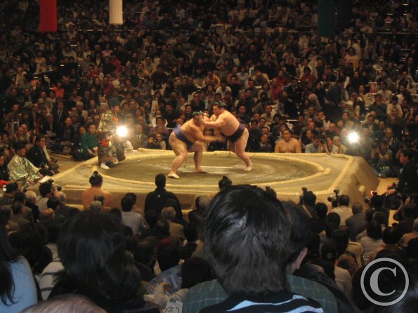Sumo! II