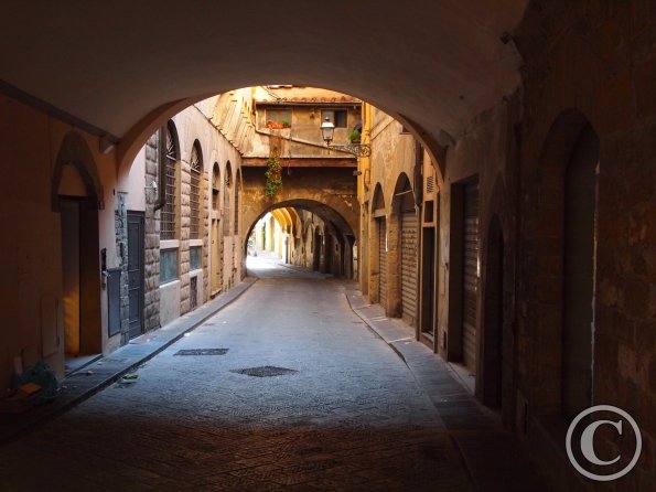 OLYMPUS DIGITAL CAMERA OLYMPUS DIGITAL CAMERA