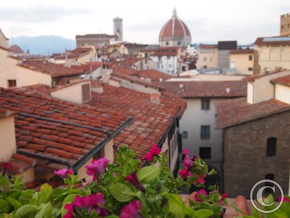 Florence from the rooftops